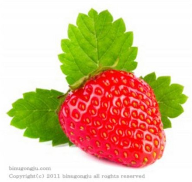 딸기향(Strawberry F.O)프래그런스 오일, 100ml, 1개