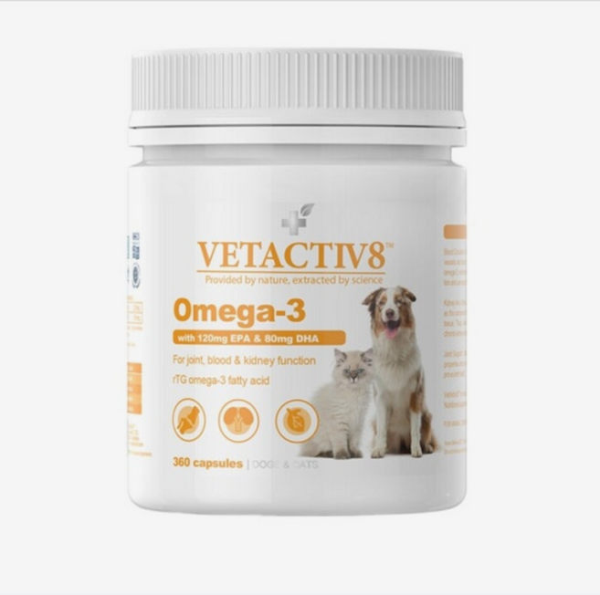 벳액티브8, 1개, 오메가3, 90정