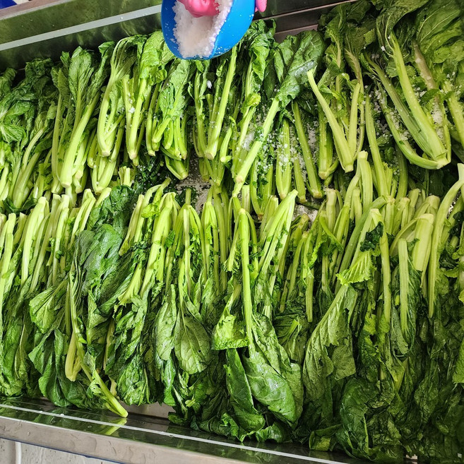 [제니네 제철과일] SG 산지발송 여수 돌산 절임 갓 깊은 감칠맛, 10kg, 1개
