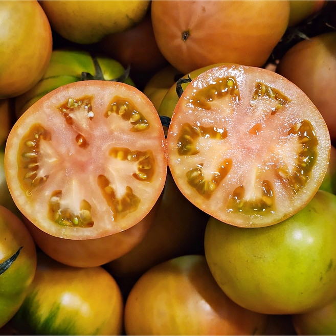맑은마켓 재구매율1위 8Brix 대저 토마토, 1박스, 2.5kg(중과)