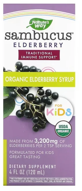 Nature's Way 삼부커스 어린이용 엘더베리 시럽, 2개, 120ml - 쿠팡