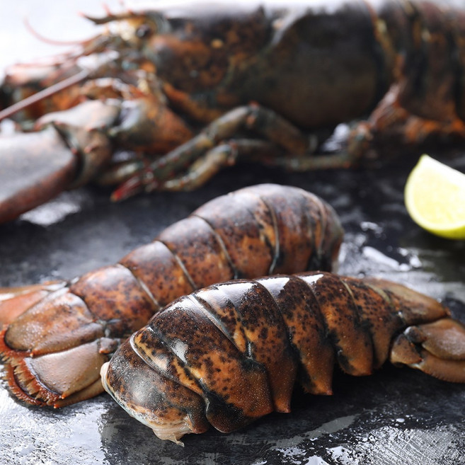 [우연수산] 랍스터테일 4oz 특대 정품, 1개, 랍스터테일 4oz 3미