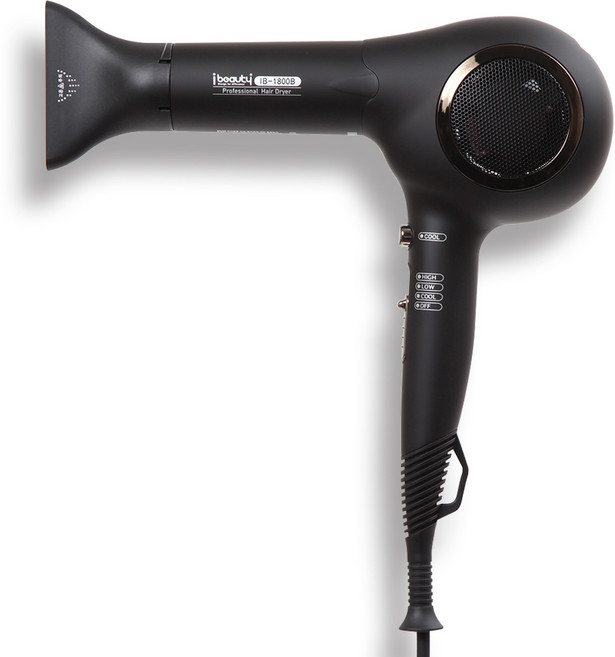 아이뷰티 1700W 전문가용 BLAC 드라이어 IB-1800B, IB-1800B(블랙)
