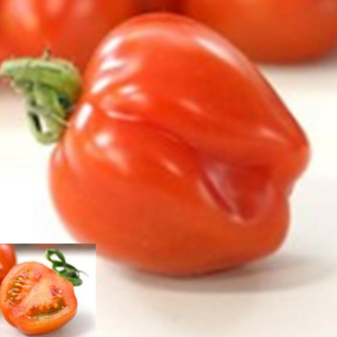 국내산 루비벨 방울토마토 맛보기 1kg 2kg, 1개