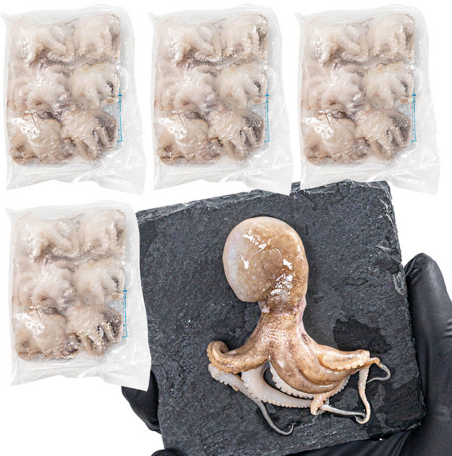 깨끗한 손질 쭈꾸미 소포장 냉동, 4개, 200g