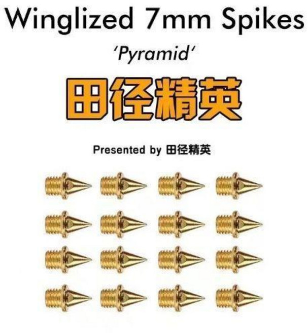 田徑釘鞋鞋釘短釘尖釘長釘碳釘塔釘跳釘鋼釘 副廠商品, 1個, 金色鋼尖釘,14顆釘子+  比賽訓練一體專用, 金色鋼尖釘