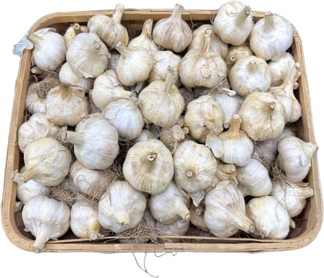 [한끼 채소]국내산 홍산마늘 1개, 5kg-소