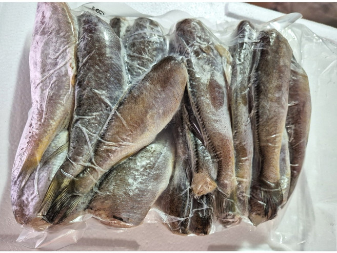 반건조 두절 참조기 깨끗한 손질 맛있는 간 목포거시기수산, 1개, 1kg, 대(21미내외)