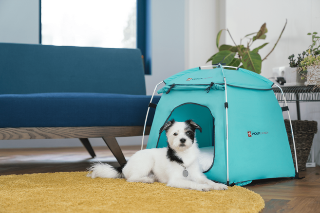 울프라운치 강아지텐트 고양이텐트 애견텐트 펫하우스 숨숨집 개집 아웃도어 원단 (미디움), 라이트퍼플, 1개