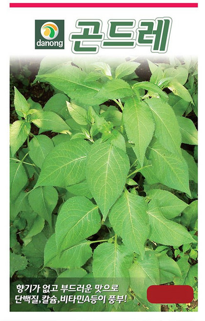 다농 곤드레 씨앗 100립 곤드레씨 산채 나물 종자, 1개