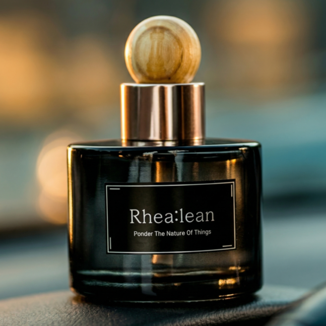 레아린 아로마오일 차량용 방향제, 프렌치 폴리네시아, 2개