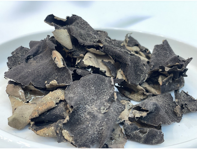 국내산 자연산 건조 석이버섯 특상품 10g 50g 100g 200g, 1개, 국내산 자연산 특상품 석이버섯 10g, 1개