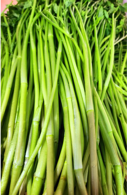 맛과 향이 뛰어난 품질 좋은 만나농원 하우스 세척 밭미나리, 1kg, 1개