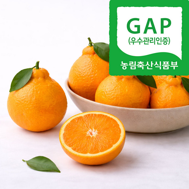 맛보장 GAP인증 한라봉 정품 중과 실중량, 1개, 3kg