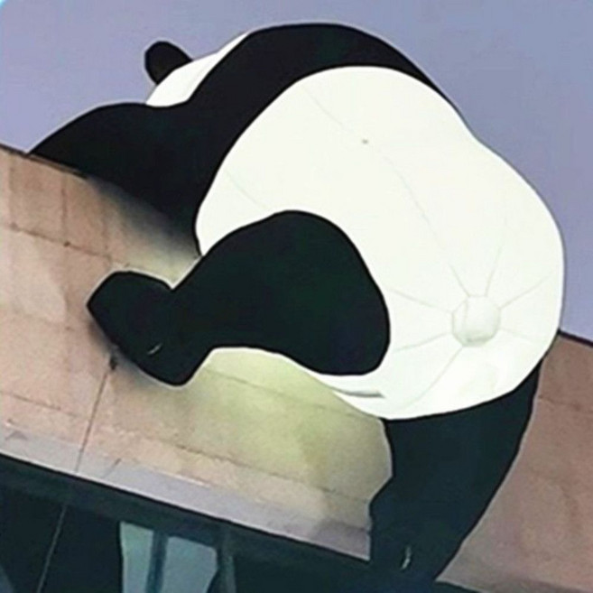 팬더 대형 풍선 에어 장식 포토존 행사장 벌룬 조형물 야외 벽 매장, 2m 누워 있는 판다 + 팬