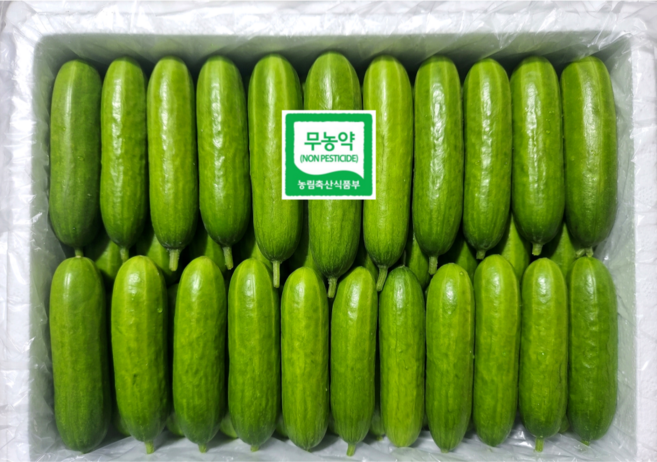 [무농약] 미니오이 스낵오이20입 (중량 1kg 내외 / 당일수확 신선보장) 바오팜, 1개, 1kg내외