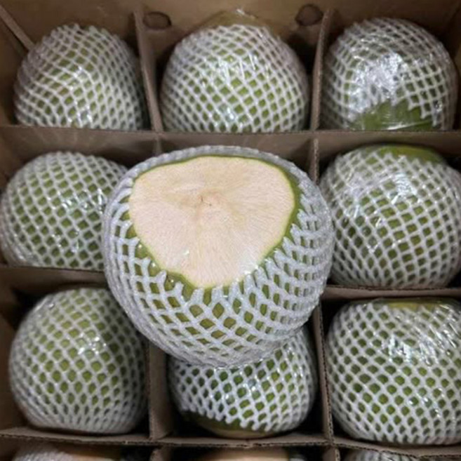베트남 컷 생 그린 코코넛, 6개, 1.3KG 내외