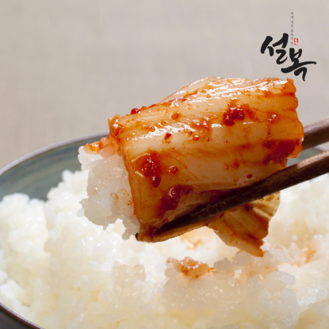 설복 국내산 실비 김치, 1박스, 10kg