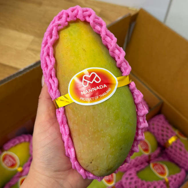 [항공직수입특가] 프리미엄 마하차녹 골드 무지개 망고, 1박스, 무지개망고 1kg