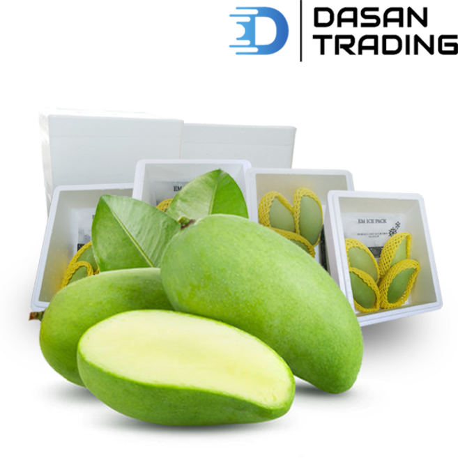 태국 그린망고 (Thailand Green Mango), 1박스, 1.0kg 내외 (4개)