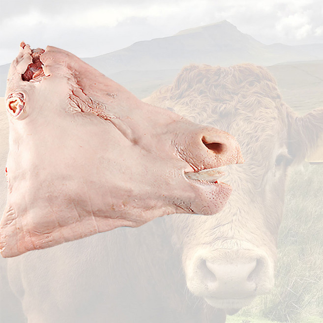 한우암소 발골 소머리정육 반마리 손질 냉동 (뼈없음), 1개