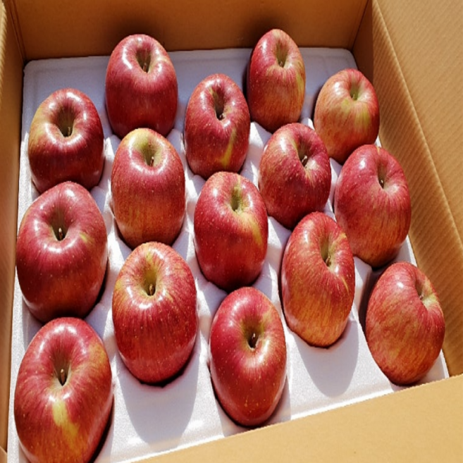 [정온담 명품] 경상북도 고당도 부사 사과 (정품), 1개, 중과 5kg (정품)