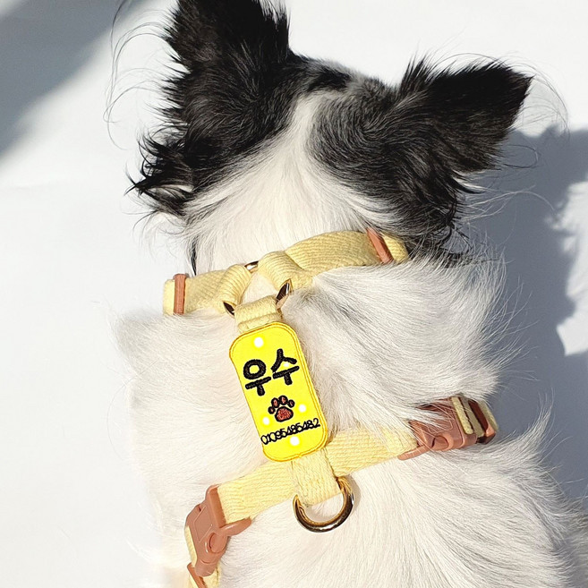 따봉공방 커스텀 주문제작 강아지 야간산책 이름표 벨크로 찍찍이 네임택 인식표 LED 라이트 목걸이 (C타입 충전식), 1개, 옐로원단+블랙글자