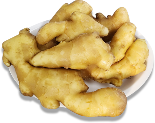 홍홍 중국식품 중국산 세척 생강 중국생강 대강 생강차 생강청 생강채, 1개, 1 kg