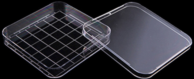 바이오로드 멸균 스퀘어디쉬 (사각샬레), 1팩(10개입)