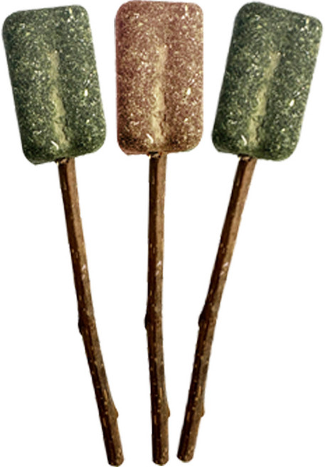 펫쭈 고양이 캣닢 마따따비 막대 스틱 장난 캣닢, 1세트, 아이스크림