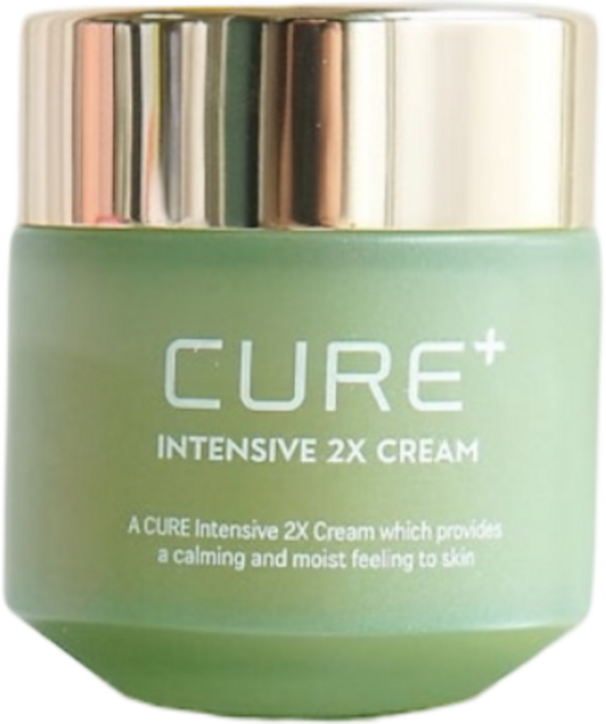 김정문알로에 큐어 2X크림 3개 [2x미니2]