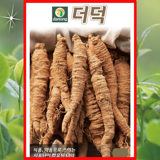 다농더덕 3g 식용 약용으로 쓰이는 사포닌이 함유된 더덕씨앗, 1.강산도라지 2000립, 1개