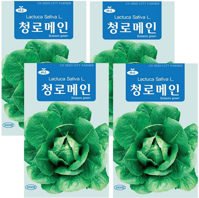 청로메인 씨앗 로메인 씨 3000립, 4개