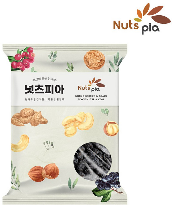 넛츠피아 건블루베리, 1개, 500g