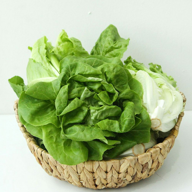 [당일수확] 샐러드 유럽채소 모듬, 1개, 800g