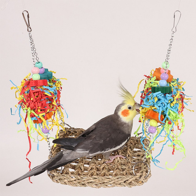 레브펫 앵무새 레인보우 놀이터 헤먹