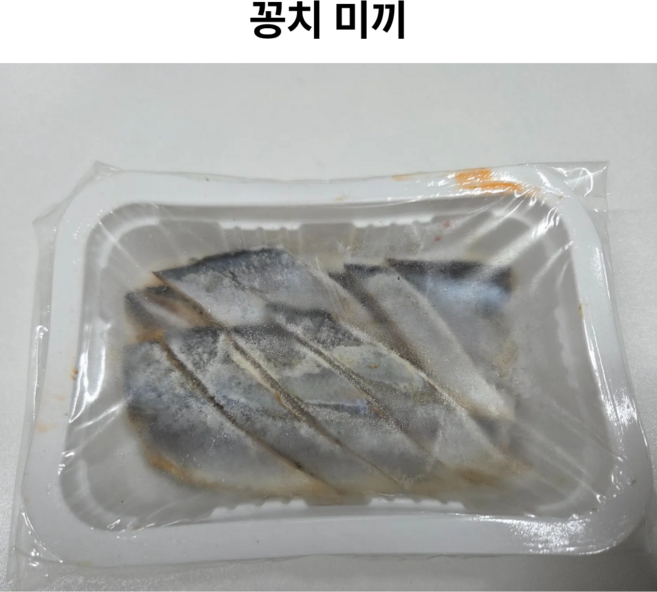 냉동 꽁치미끼 원투낚시 선상낚시 우럭 장어