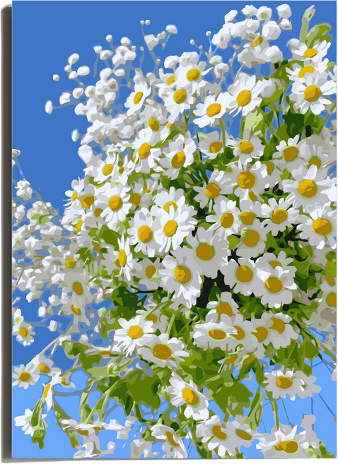 원그리드 DIY 명화그리기 세트 캔버스 유화그리기, 블루 데이지, 1개