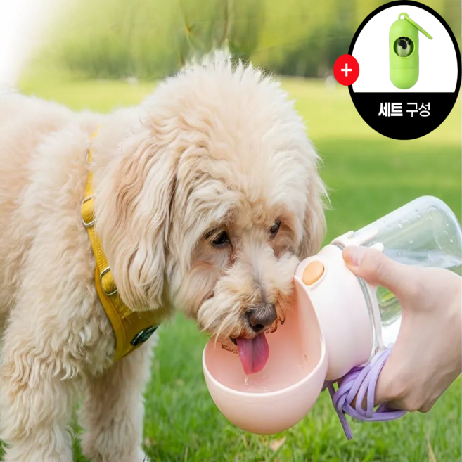다있어유 강아지 산책용 올인원 휴대용 물통 360ml (산책 패키지), 1개, 스타라이트 (올인원 패키지)
