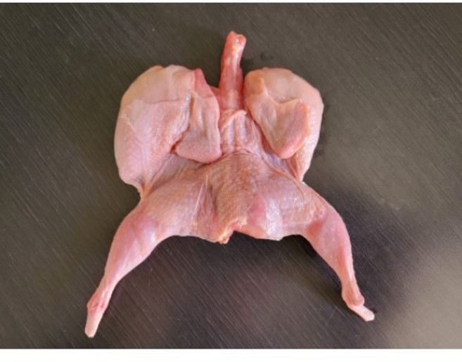 [생푸드] 메추리 10마리 (손질이되어있는~)(국내산)(메추리구이)(캠핑음식)(메추리고기)(냉동)(생), 1세트