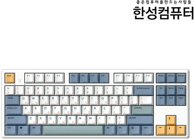 한성컴퓨터 GK893B PRO 염료승화 EDITION 유무선 무접점 텐키리스, SURFYY(네이비 + 화이트 + 옐로우 + 그린)