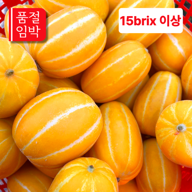[딱 40박스만] 고당도 성주참외 가정용 혼합과 산지직송, 1박스, 10kg
