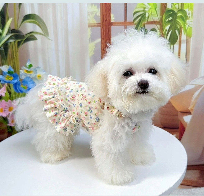 쪼로니 강아지 플라워 프릴 골지 원피스 여름 나시, 1개, 옐로우