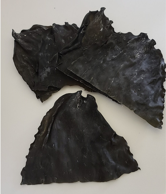 햇 완도 꼭지 다시마 (뿌리만20cm), 500g, 1개