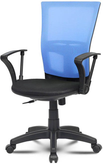 체어포커스 피크닉 베이직 메쉬 의자 CP1, 블루