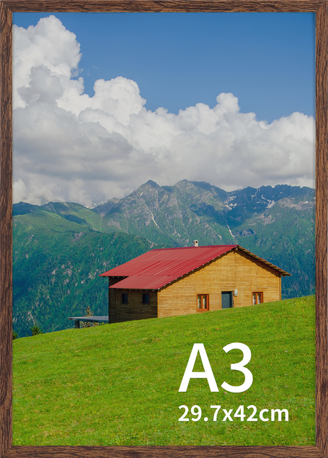 olivet 모노치 프레임 홈 인테리어 액자 PVC A3, 1개, 커피 나무결