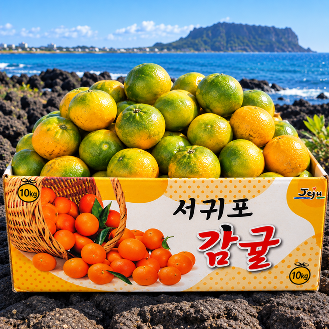 [한정특가] 제주산지 신선출고 상큼달콤 감귤, 1박스, 10kg