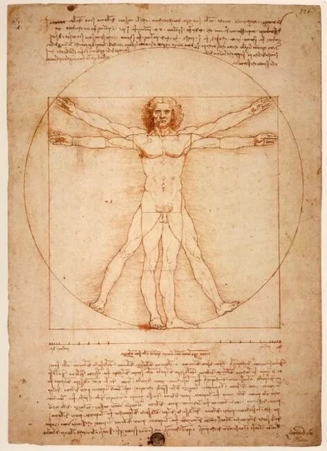 Vitruvian Man 유명한 포스터 인쇄 캔버스 회화 레오나르도 다빈치 클래식 벽 아트 그림 홈 룸 장식, [03] 20x25cm No Frame, [01] A, 1개 - 쿠팡