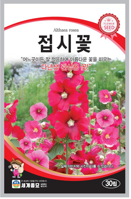 모칸도 접시꽃 씨앗 30립 세계종묘 꽃씨 꽃씨앗