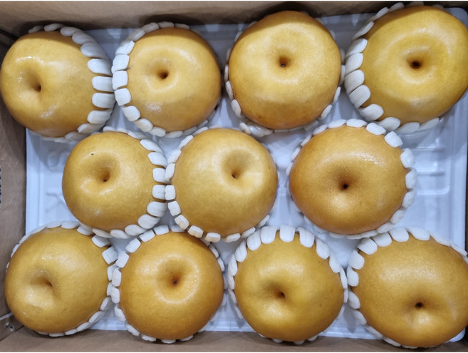 가정용 못난이 신고배 햇배, 1박스, 15kg 36~45과